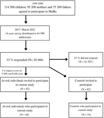 Cognitive functioning in a group of adolescents at risk for psychosis